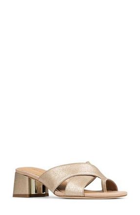 Donald J Pliner Keena Slide Sandal in Platino at Nordstrom Rack, Size 8.5