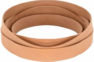 vidaXL Correa De Cuero 1 Marr&oacute;n Claro 1000 X 2,5 Cm Cuero Vidaxl