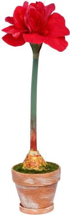 Mark Roberts Potted Amaryllis Flower, Set of 2 in Red at Nordstrom