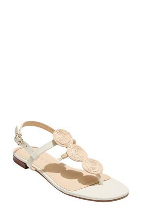Jack Rogers Worth Slingback Sandal in Ivory at Nordstrom, Size 6.5