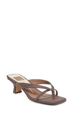 Dolce Vita Brevel Kitten Heel Flip Flop in Chocolate Raffia at Nordstrom, Size 6.5