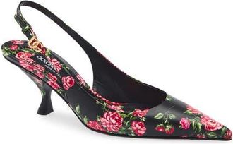 Dolce & Gabbana Lollo Rose Print Kitten Heel Slingback Pump in Mazzolini Rose F.ner at Nordstrom, Size 10.5Us