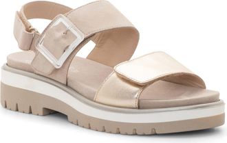 Ara Marbella Slingback Platform Sandal at Nordstrom, Size 9.5-10Us