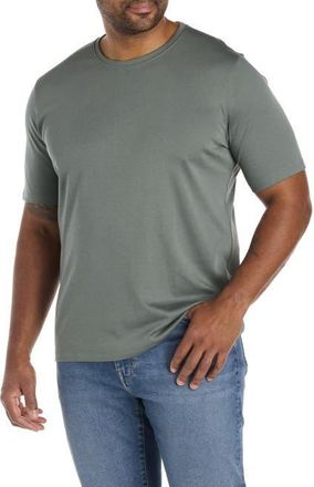 Robert Barakett Georgia Jersey T-Shirt in Balsam Green at Nordstrom, Size 4X Big