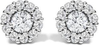 House of Brilliance 10K White Gold 1 1/2 Cttw Lab Grown Diamond Halo Stud Earrings at Nordstrom