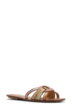 Aldo Rosmary Slide Sandal in Brown Multi at Nordstrom, Size 8.5