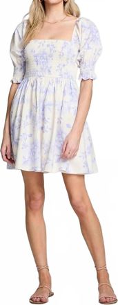 Saltwater Luxe Floras Mini Dress In Bluebell