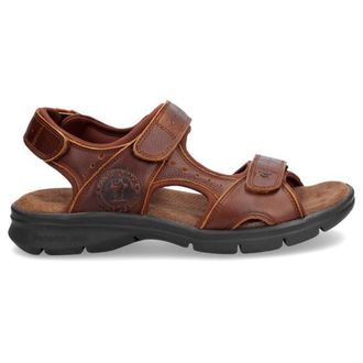 Panama Jack Salton Basics Sandalen f&uuml;r Herren | braun