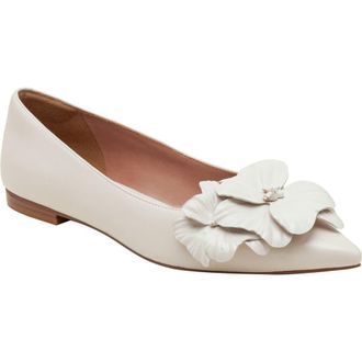 Linea Paolo Nerine Pointed Toe Flat in Ivory at Nordstrom Rack, Size 9.5
