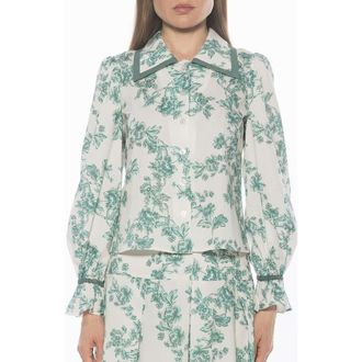 Alexia Admor Shannan Tipped Collar Button-Up Shirt in Green Floral at Nordstrom Rack, Size X-Small