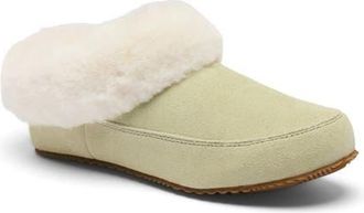 Sorel Go Coffee Run Faux Fur Slipper in Light Aloe/Natural at Nordstrom, Size 10