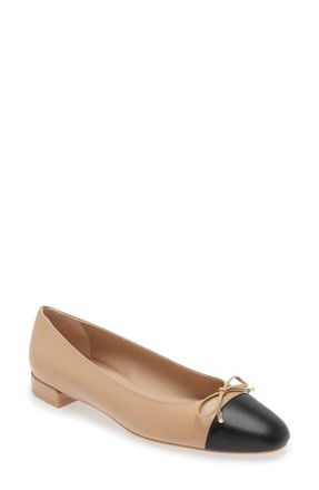 Stuart Weitzman Sleek Cap Toe Bow Flat in Adobe/Black at Nordstrom, Size 8