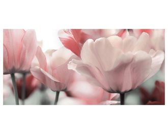 Schubiger M&ouml;bel Digitaldruck auf Acrylglas Bl&uuml;ten in Rose