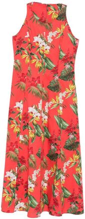 Archivio 67 Archivio 67 Womens A-Line Printed Cotton Midi Dress