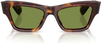 Oliver Peoples 52mm Jil Sander Edition Cat Eye Sunglasses in Dark Mahogany /Green C at Nordstrom
