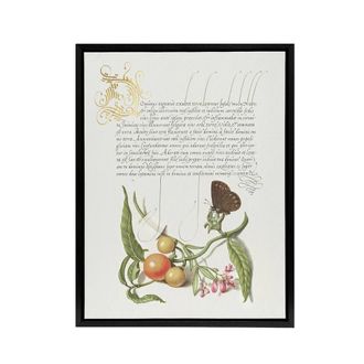 Artery8 Butterfly Cherries & Milkwort Calligraphy Framed Canvas Wall Art in White | Size: W24 x H32