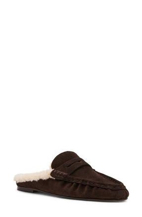 Steve Madden Rafe Faux Shearling Lined Mule in Chocolate Brown Suede at Nordstrom Rack, Size 7.5