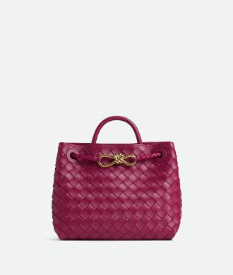 Bottega Veneta Small Andiamo - Bottega Veneta
