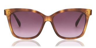 Maje MJ5004 202 Womens Sunglasses Tortoiseshell Size 51