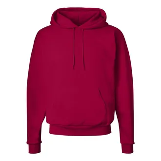 Hanes Ecosmart Hooded Sweatshirt