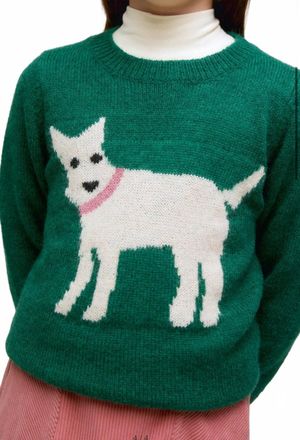 Compa&ntilde;&iacute;afant&aacute;stica Dog Sweater In Green
