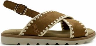 Thies Dames, Schoenen, Bruin, Maat: 40 EU Katoen