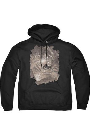 Gildan Superman Action 840 Cover Adult Pull Over Hoodie / Hooded Sweatshirt