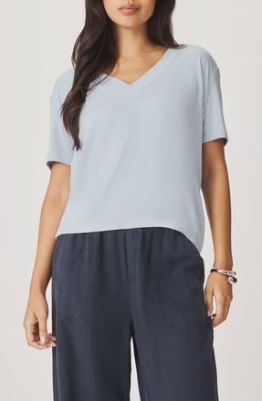 Splendid Kacey V-Neck Short Sleeve T-Shirt in Country Air Blue at Nordstrom, Size X-Small