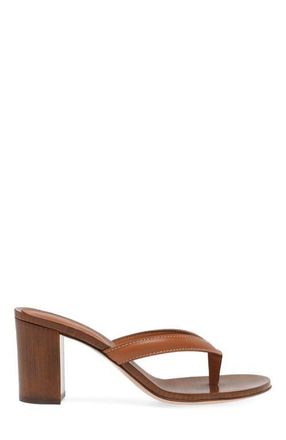 Gianvito Rossi Newport Thong in Brown Leather at Nordstrom, Size 35.5