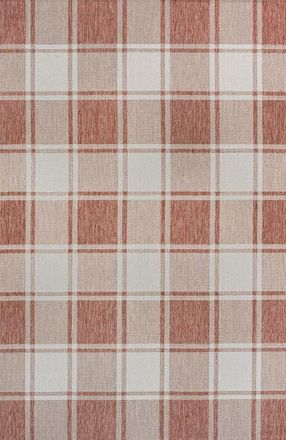 Jonathan Y Designs Sabine Traditional Farmhouse Bold Gingham Indoor/Outdoor Area Rug in Salmon/cream at Nordstrom, Size 3Ft 0In X 5Ft 0In