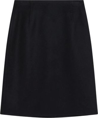 Loro Piana Rokken, Dames, Blauw, S, Leer, Vivian Skirt