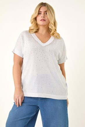 Roman Sparkly Knit Top