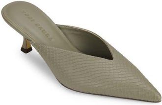 Yosi Samra Remi Pointed Toe Kitten Heel Mule in Taupe at Nordstrom, Size 10