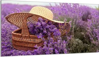 OEM Protector De Cristal Para Encimera 90x52 Lavanda