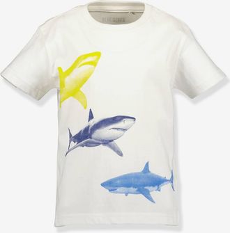 Blue Seven T-Shirt Jungen BLUE SEVEN Fische wollwei&szlig;