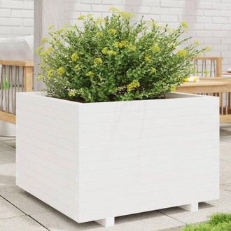 vidaXL Jardinera Madera Maciza De Pino Blanco 70x70x49,5 Cm Vidaxl