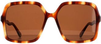 Chloé Chloé Chloe Square Womens Havana Brown CH0086S Zelie - One Size