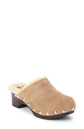 Matisse Footwear Mayfair Faux Shearling Lined Clog in Taupe at Nordstrom, Size 6