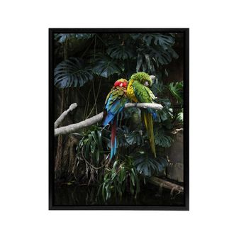 Artery8 Colourful Sleeping Parrots Carol M Highsmith Framed Canvas Wall Art | Size: W24 x H32