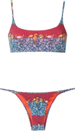 Amir Slama Set bikini con stampa - Blu