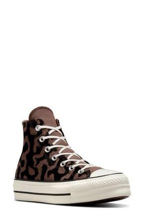 Converse Chuck Taylor All Star Lift High Top Platform Sneaker in Bear Nap/Black/Egret at Nordstrom Rack, Size 6