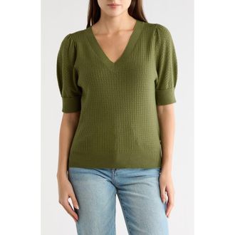 Daniel Rainn Pointelle Stitch Sweater in New Green at Nordstrom Rack, Size X-Small