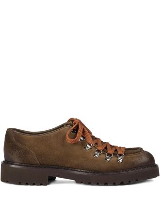 Doucal's Derby - Marrone