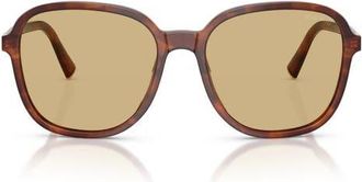 Miu Miu 58mm Polarized Pillow Sunglasses in Striped Tobacco /Yellow at Nordstrom
