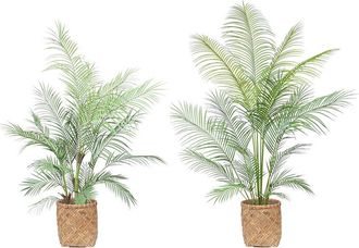Creative Displays Inc. Outdoor Uv-Rated Kentia Palm Drop-In Trees With Bamboo-Wrapped Cement Pots