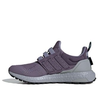 adidas (WMNS) adidas Ultraboost 1.0 Shadow Violet IG5344