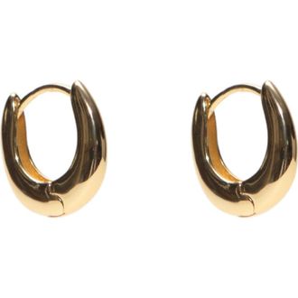 Argento Vivo Chunky Oval Huggie Hoop Earrings in Gold at Nordstrom Rack