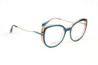 Ana Hickmann Optical Frame HI6334T H01 51 Titanium