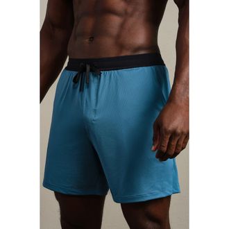 Rhone Endure 6-Inch Lined Training Shorts in Ash Blue at Nordstrom, Size Xx-Large