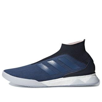 adidas Predator Tango 18+ Trace Royal AQ0605